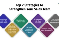 Effective Sales Strategies for Business Professionals