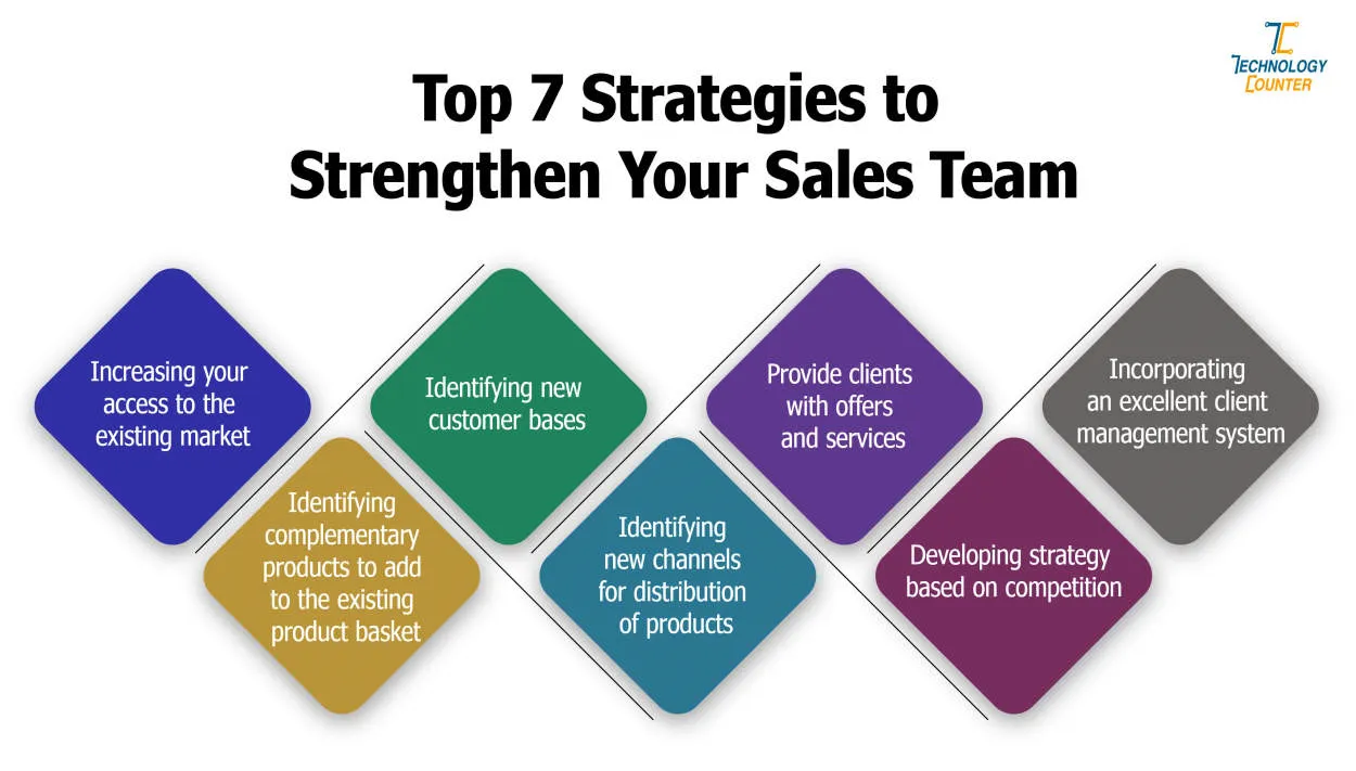 Effective Sales Strategies for Business Professionals