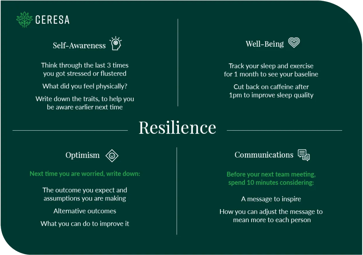 The Impact of Emotional Resilience on Career Success