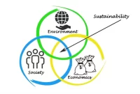 The Impact of Sustainability in Modern Business