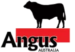 Angus House company logo