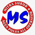 Pt.mitra subur berkah company logo