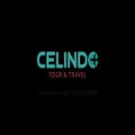 Celindo Tour & Travel company logo