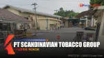 PT Scandinavian Tobacco Group Indonesia company logo