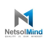 PT Netindo Solution Group company logo