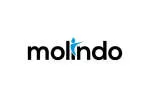 Molindo company logo