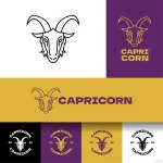 Capricorn Design company logo