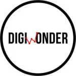 Digiwonder Digital Content & Marketing Solution company logo