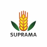 PT Surya Pratista Hutama company logo