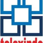 Telexindo Bizmart company logo