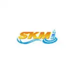 CV. SKM INDONESIA company logo