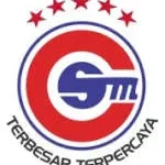 PT Cahaya Sakti Motor company logo