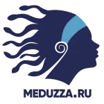 MEDUZZA POOL company logo