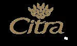 PT Beton Citra Abadi company logo