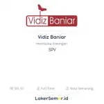 Vidiz Baniar company logo