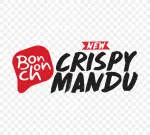 BonChon Chicken company logo