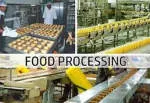 FELMOCOR FOOD PROCESSING CORPORATION company logo