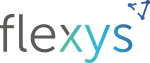 Flexisource IT company logo