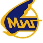 MIG SYSTEMS INCORPORATED company logo