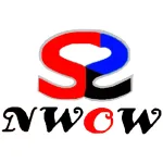 NWOW MARKETING company logo