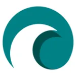 Risewave Consulting Inc. company logo