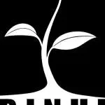 Binhi Medfi company logo