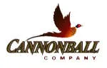 Cannonball Recruiting LLC company logo