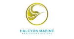 HALCYON MARINE HEALTHCARE SYSTEMS INC. company logo