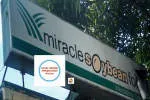 Miracle Soybean Food International Corporation company logo