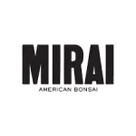 Mirai Labs company logo