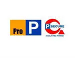 Professional Parking Group company logo