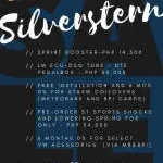Silverstern Motors Inc. company logo