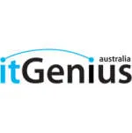 itGenius company logo