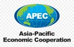 Asia Pacific Economic Enterprises Corporation company logo