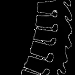 Fine Spine Chiro PH company logo