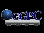 Gunma Gohkin Philippines Corporation company logo