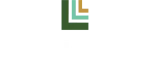 Leonio Group Corporation company logo