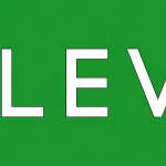 Levins International Corporation company logo