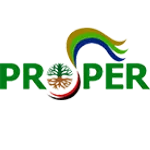 PROPER company logo