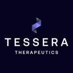 Tessera Jewelry company logo