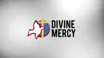 Divine Mercy Learning Centre company logo