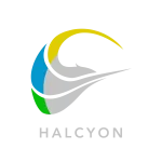 HALCYON HEALTH NETWORK INC. company logo