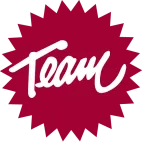 The IN Team company logo