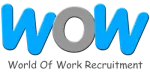 World of Work Recruitment Specialist company logo