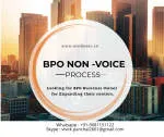 BPO - Nonvoice company logo