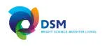 DSM company logo