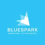 Blue Spark Solutions, Inc. company logo