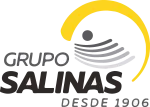 Grupo Salinas de Guatemala company logo