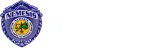 Nemesis Security Agency Inc. company logo