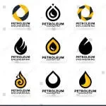 Petroleum Distributors & Services Corporation /... company logo